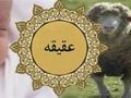 فصل نهم:عقیقه کردن و سر تراشیدن و آداب هر یک