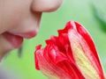فصل دوازدهم:آداب بوییدن گل